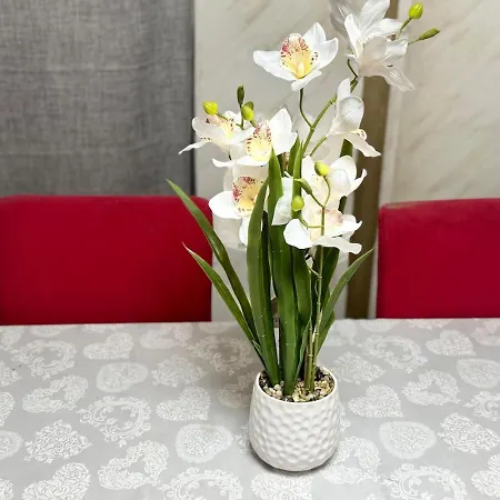Relax A Vicino Torino E Aeroporto Caselle Tatil Evi